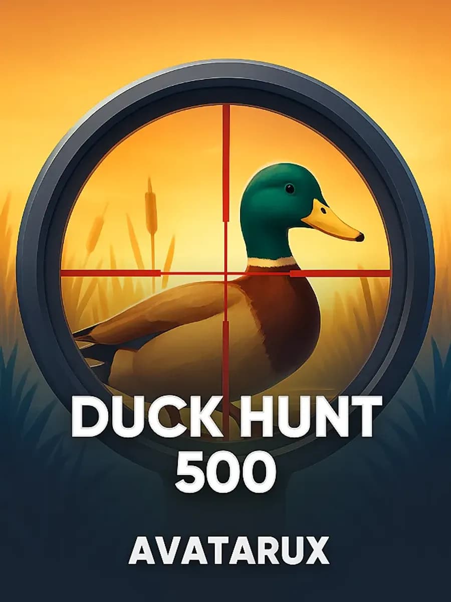 Duck Hunt 500