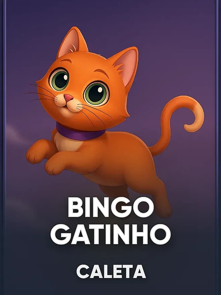 Bingo Gatinho